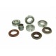 KIT DE REPARATION DE DIFFERENTIEL POUR FREELANDER 1 N2 OEM - 1