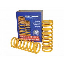 Yellow rear performance spring std heigth