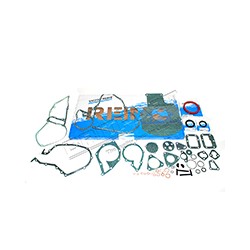 Overhaul gasket kit 200 TDI - REINZ