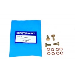 200TDI and 300TDI Injector Banjo Bolt kit