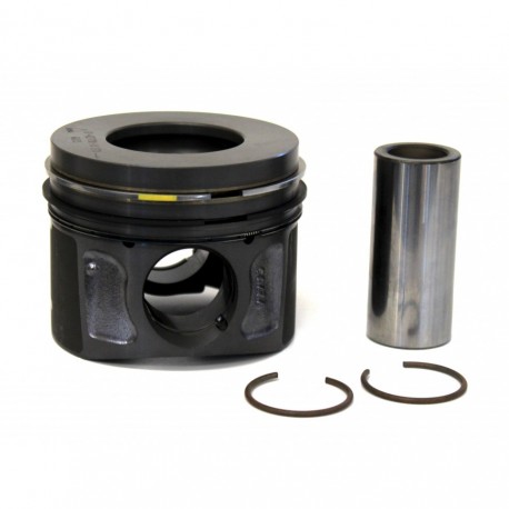 Lot segmentations pour 4 Pistons defender 2.2L Td4 Puma