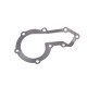 300 Tdi water pump gasket - elring