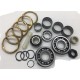 R380 OVERHAUL KIT SUFFIX K/L